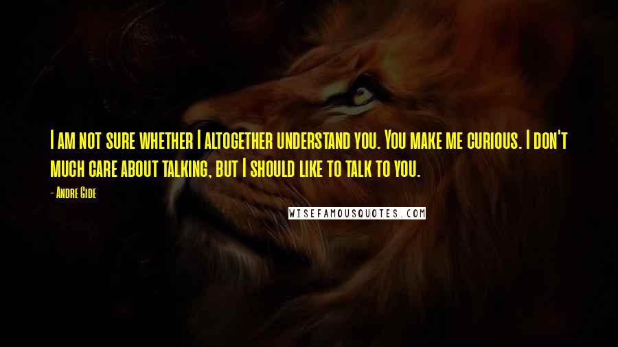 Andre Gide Quotes: I am not sure whether I altogether understand you. You make me curious. I don't much care about talking, but I should like to talk to you.