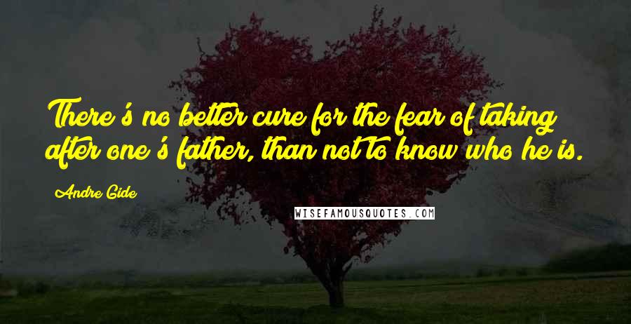 Andre Gide Quotes: There's no better cure for the fear of taking after one's father, than not to know who he is.