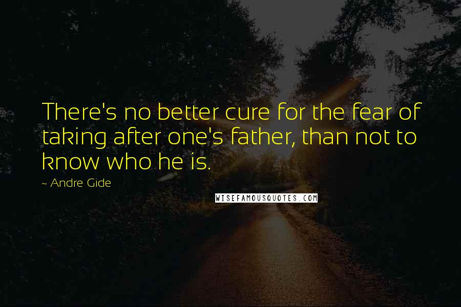 Andre Gide Quotes: There's no better cure for the fear of taking after one's father, than not to know who he is.