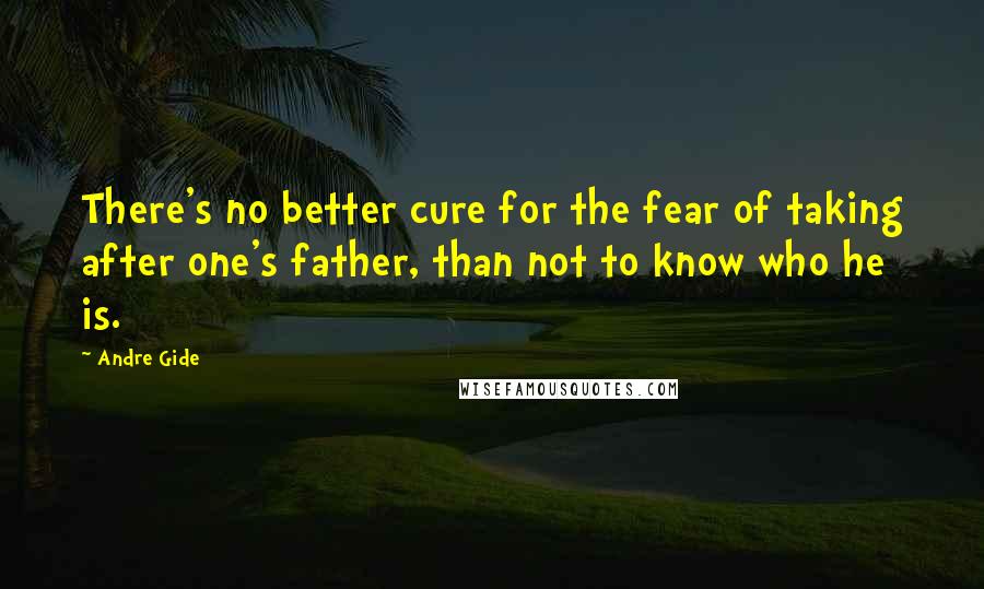 Andre Gide Quotes: There's no better cure for the fear of taking after one's father, than not to know who he is.