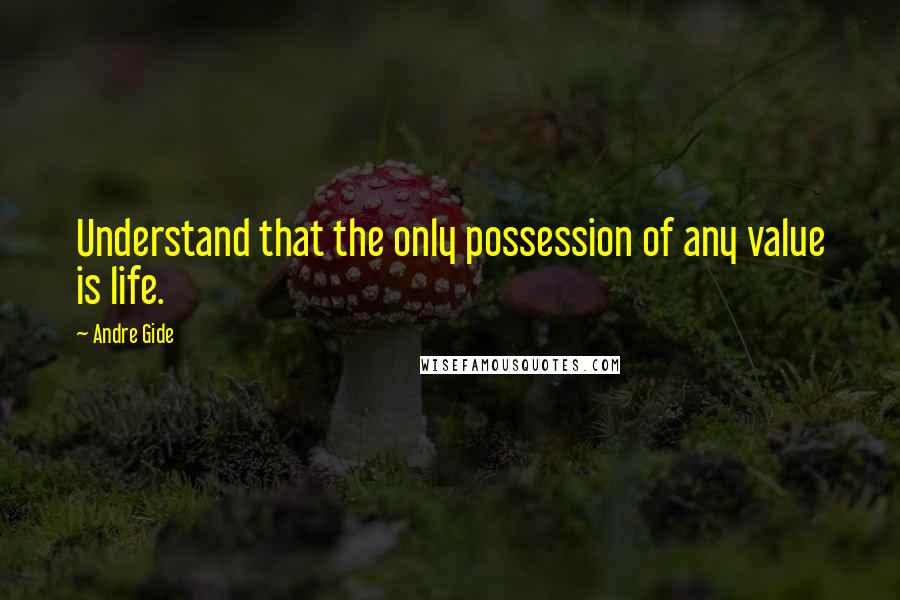 Andre Gide Quotes: Understand that the only possession of any value is life.