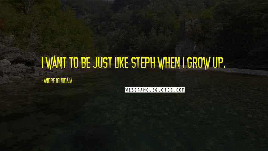 Andre Iguodala Quotes: I want to be just like Steph when I grow up.