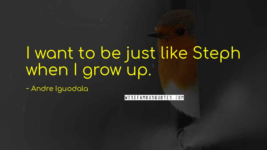 Andre Iguodala Quotes: I want to be just like Steph when I grow up.