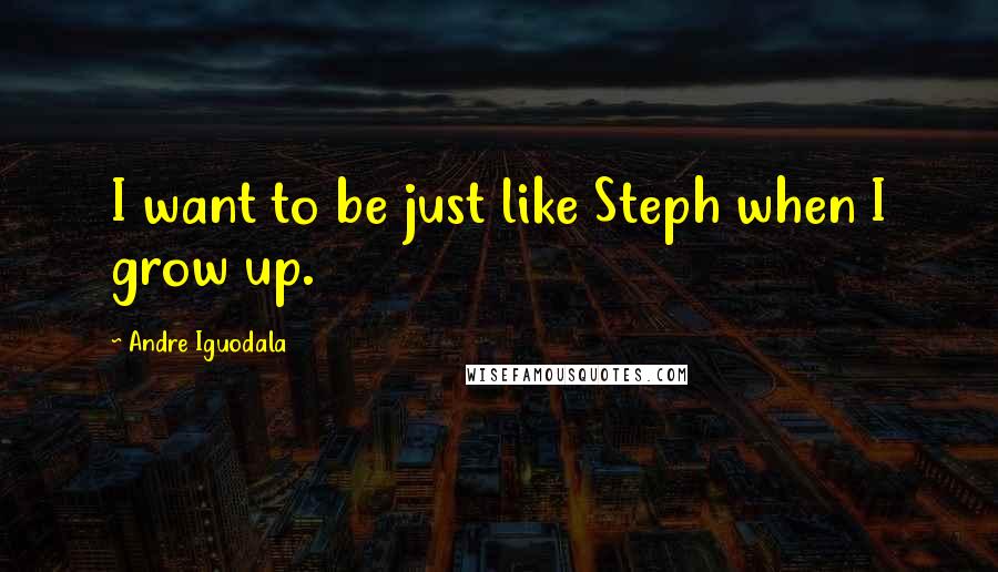 Andre Iguodala Quotes: I want to be just like Steph when I grow up.