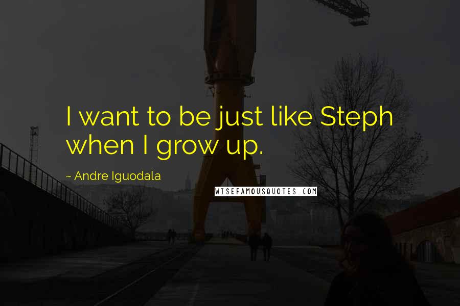 Andre Iguodala Quotes: I want to be just like Steph when I grow up.