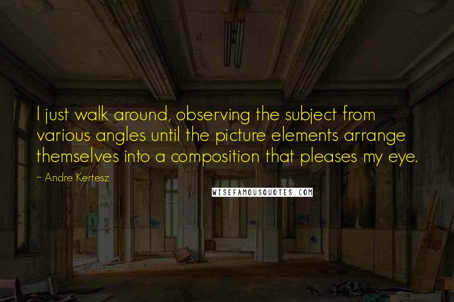 Andre Kertesz Quotes: I just walk around, observing the subject from various angles until the picture elements arrange themselves into a composition that pleases my eye.