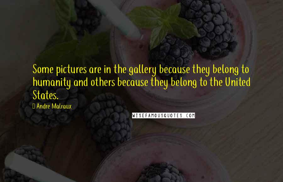 Andre Malraux Quotes: Some pictures are in the gallery because they belong to humanity and others because they belong to the United States.