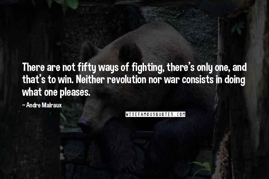 Andre Malraux Quotes: There are not fifty ways of fighting, there's only one, and that's to win. Neither revolution nor war consists in doing what one pleases.