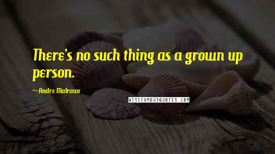 Andre Malraux Quotes: There's no such thing as a grown up person.