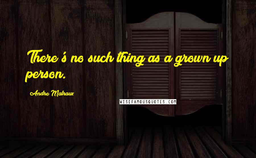 Andre Malraux Quotes: There's no such thing as a grown up person.