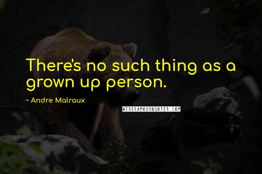 Andre Malraux Quotes: There's no such thing as a grown up person.