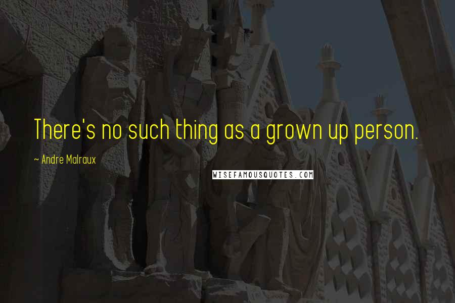 Andre Malraux Quotes: There's no such thing as a grown up person.
