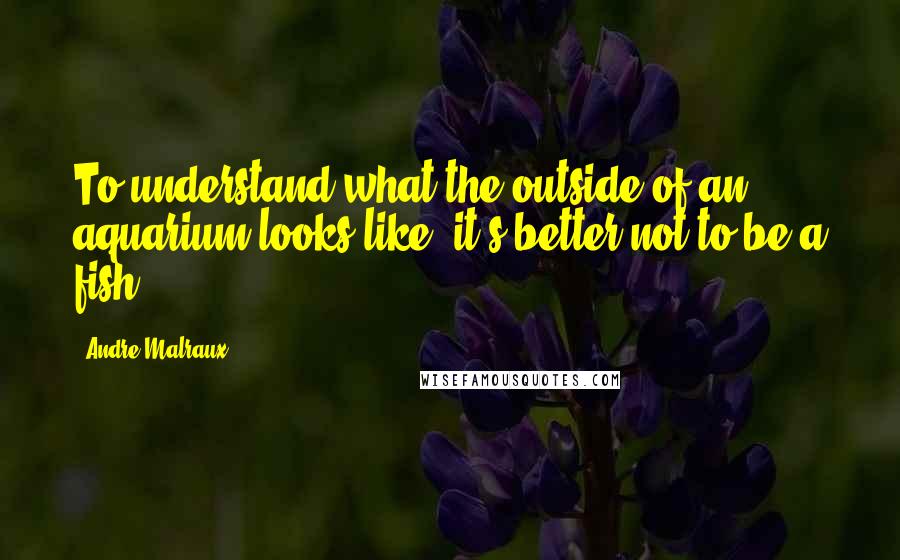 Andre Malraux Quotes: To understand what the outside of an aquarium looks like, it's better not to be a fish.