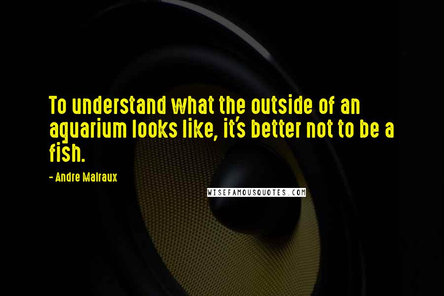 Andre Malraux Quotes: To understand what the outside of an aquarium looks like, it's better not to be a fish.