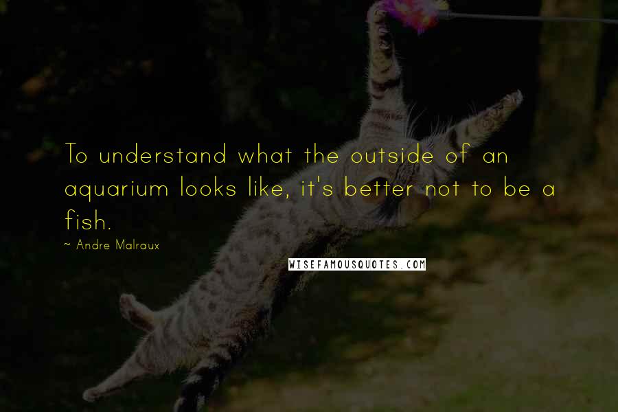 Andre Malraux Quotes: To understand what the outside of an aquarium looks like, it's better not to be a fish.