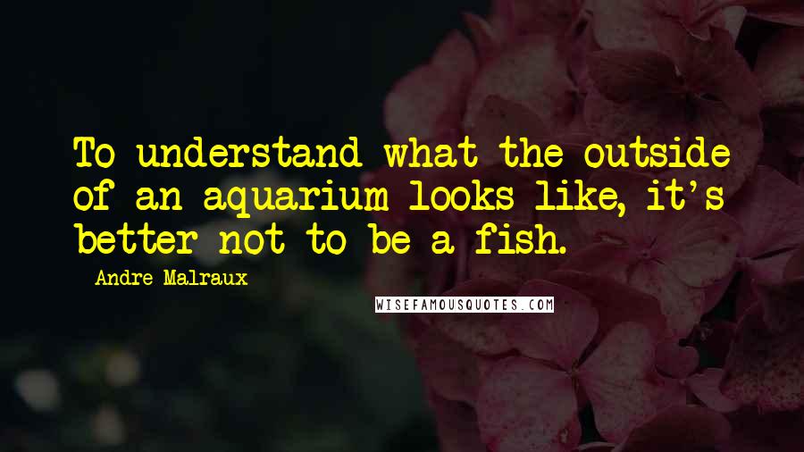 Andre Malraux Quotes: To understand what the outside of an aquarium looks like, it's better not to be a fish.