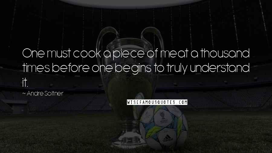 Andre Soltner Quotes: One must cook a piece of meat a thousand times before one begins to truly understand it.