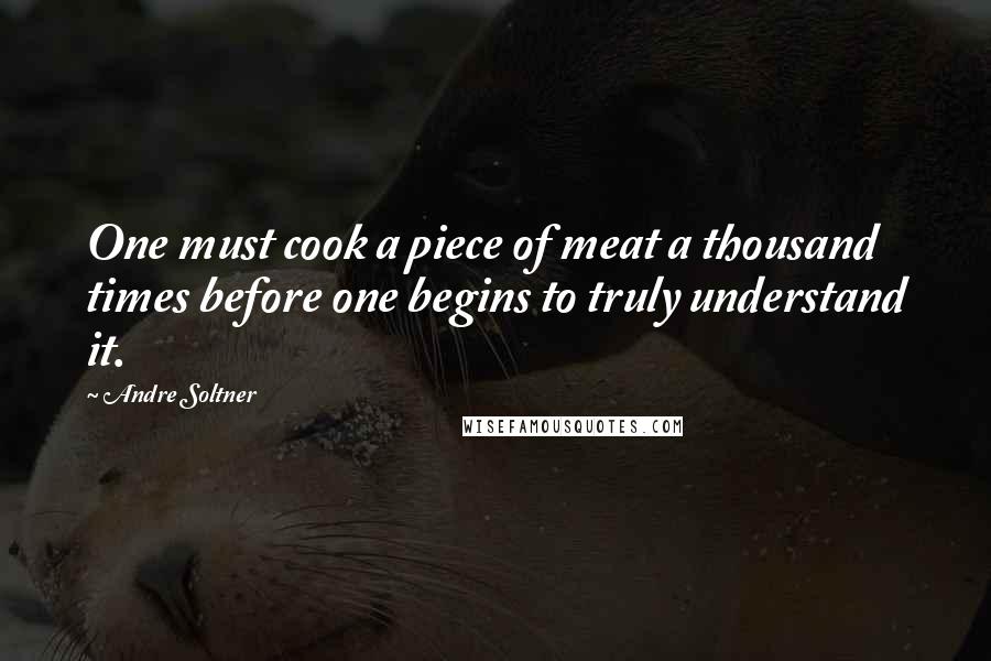 Andre Soltner Quotes: One must cook a piece of meat a thousand times before one begins to truly understand it.