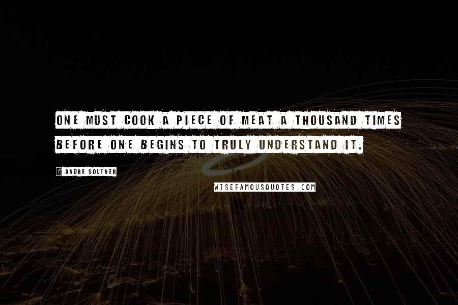 Andre Soltner Quotes: One must cook a piece of meat a thousand times before one begins to truly understand it.