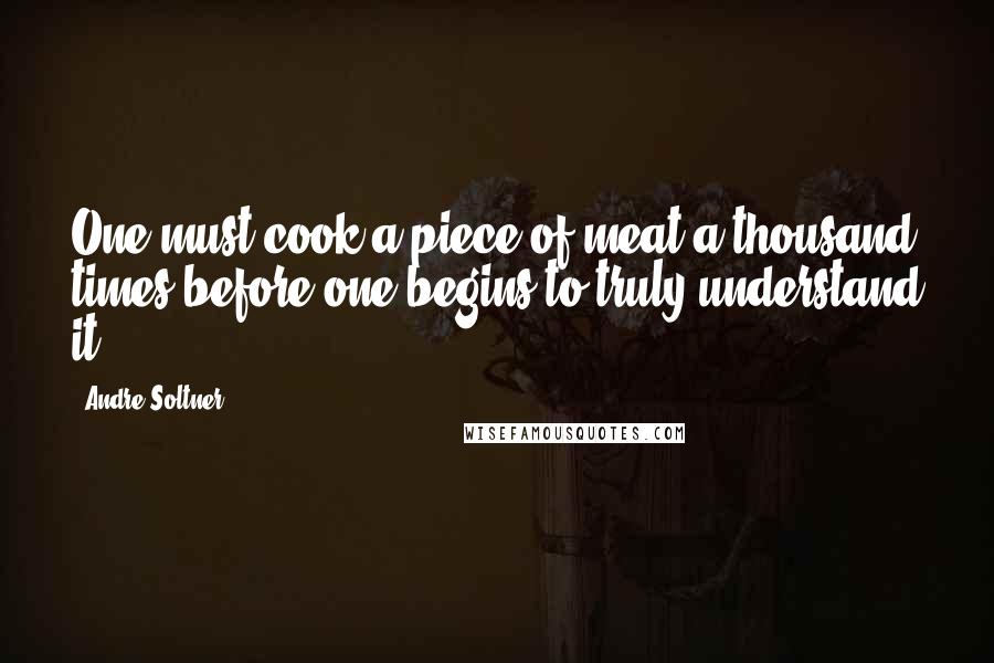 Andre Soltner Quotes: One must cook a piece of meat a thousand times before one begins to truly understand it.