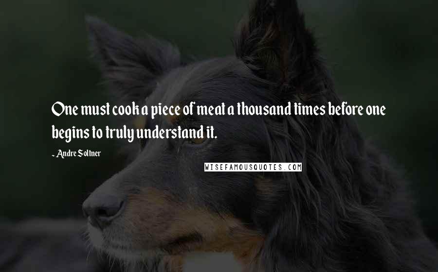 Andre Soltner Quotes: One must cook a piece of meat a thousand times before one begins to truly understand it.