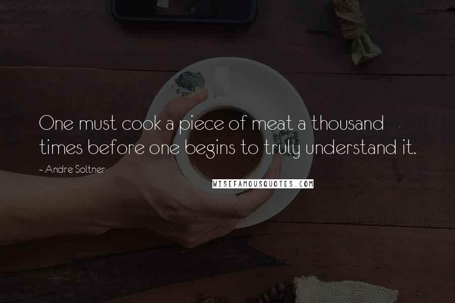 Andre Soltner Quotes: One must cook a piece of meat a thousand times before one begins to truly understand it.