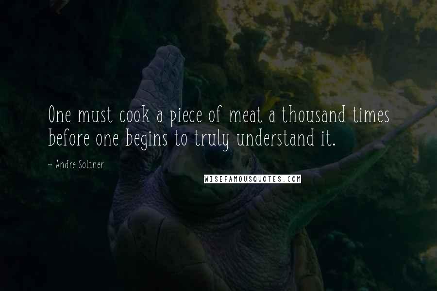 Andre Soltner Quotes: One must cook a piece of meat a thousand times before one begins to truly understand it.