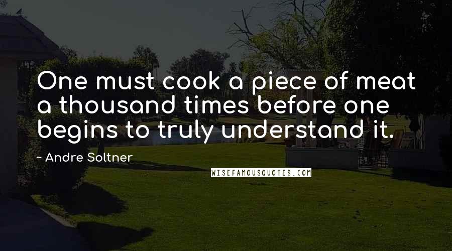 Andre Soltner Quotes: One must cook a piece of meat a thousand times before one begins to truly understand it.