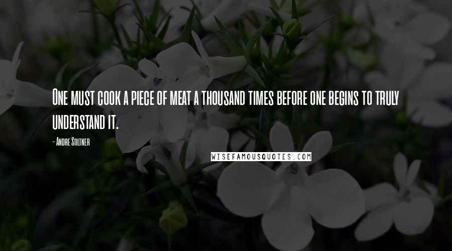 Andre Soltner Quotes: One must cook a piece of meat a thousand times before one begins to truly understand it.