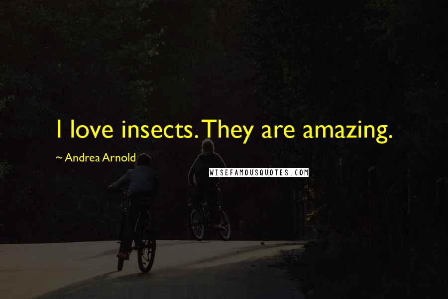 Andrea Arnold Quotes: I love insects. They are amazing.
