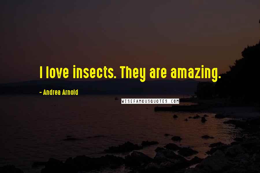 Andrea Arnold Quotes: I love insects. They are amazing.