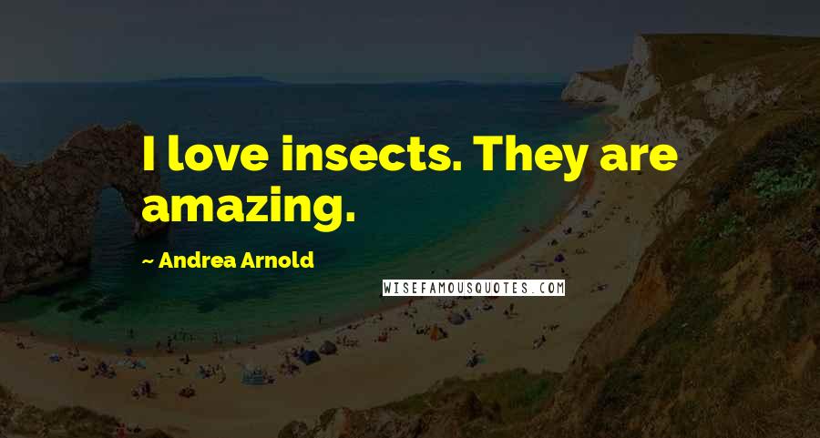 Andrea Arnold Quotes: I love insects. They are amazing.