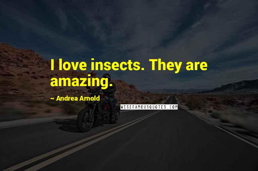 Andrea Arnold Quotes: I love insects. They are amazing.