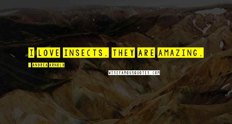 Andrea Arnold Quotes: I love insects. They are amazing.