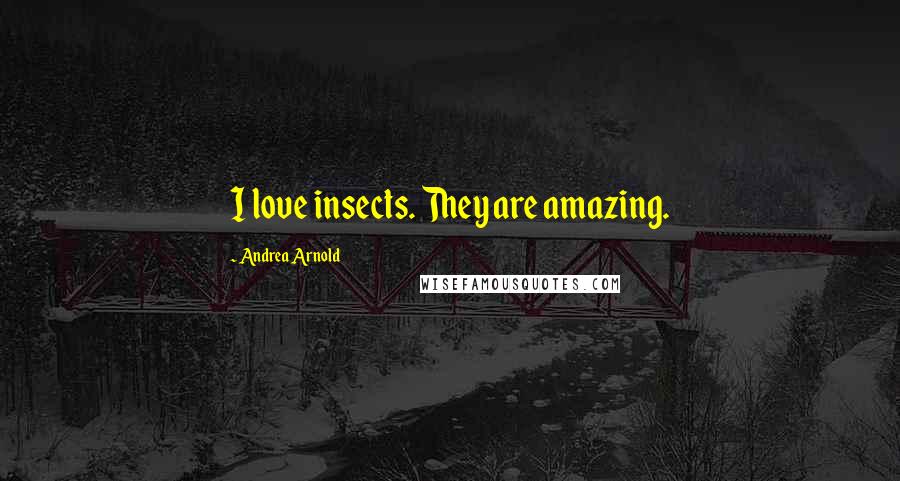 Andrea Arnold Quotes: I love insects. They are amazing.