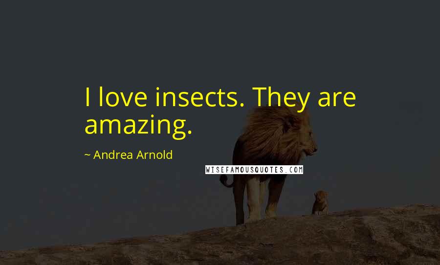Andrea Arnold Quotes: I love insects. They are amazing.