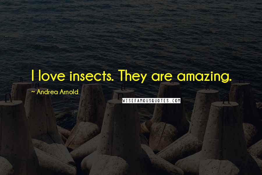 Andrea Arnold Quotes: I love insects. They are amazing.