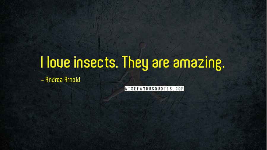 Andrea Arnold Quotes: I love insects. They are amazing.