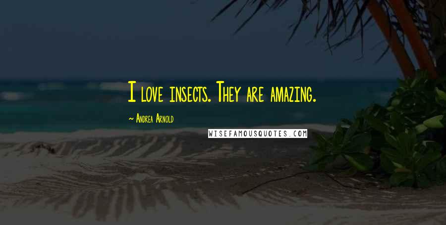 Andrea Arnold Quotes: I love insects. They are amazing.