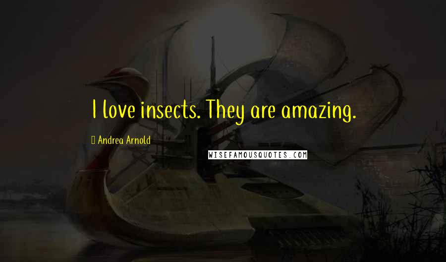 Andrea Arnold Quotes: I love insects. They are amazing.