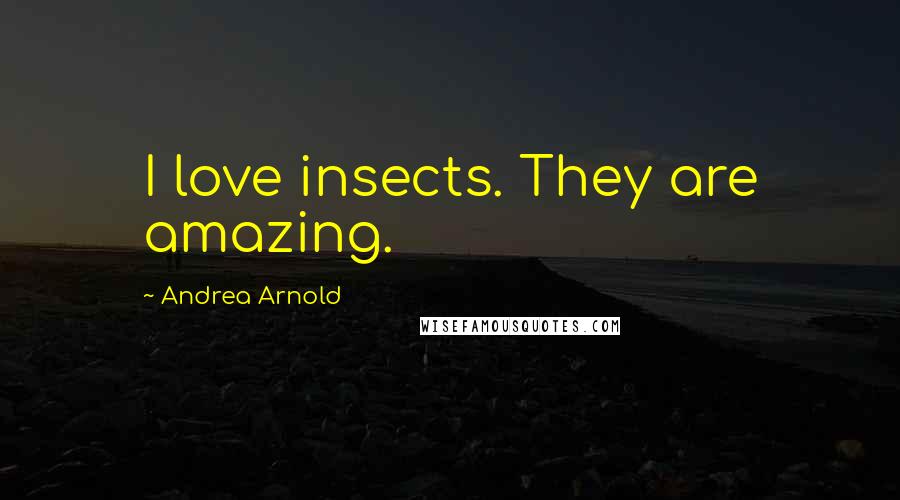 Andrea Arnold Quotes: I love insects. They are amazing.