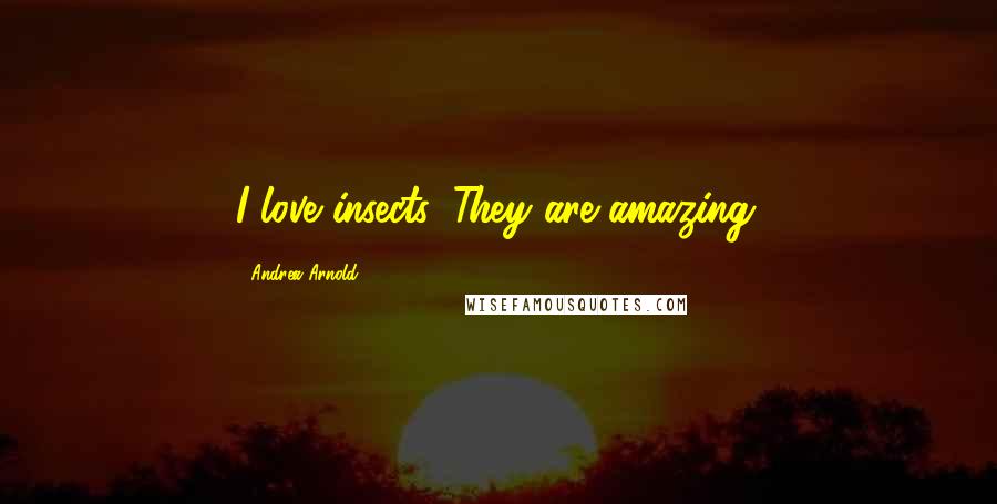Andrea Arnold Quotes: I love insects. They are amazing.
