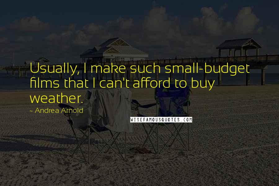 Andrea Arnold Quotes: Usually, I make such small-budget films that I can't afford to buy weather.