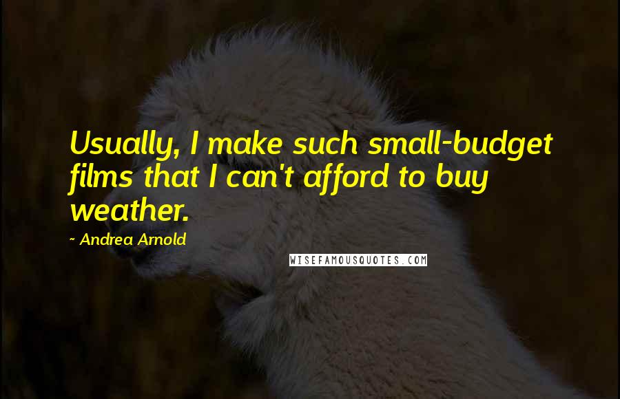 Andrea Arnold Quotes: Usually, I make such small-budget films that I can't afford to buy weather.