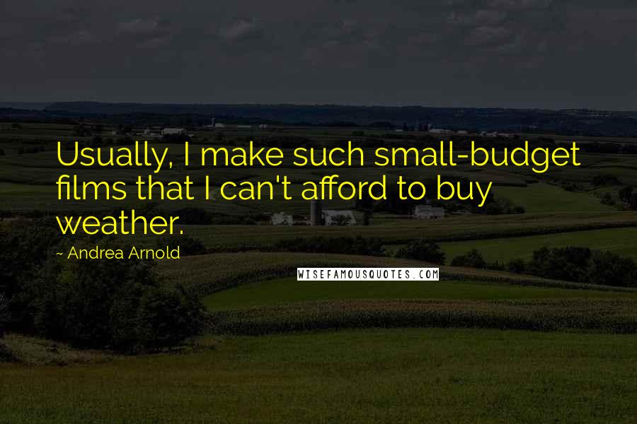 Andrea Arnold Quotes: Usually, I make such small-budget films that I can't afford to buy weather.