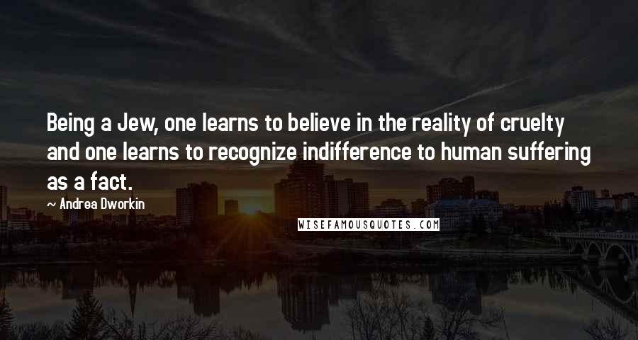 Andrea Dworkin Quotes: Being a Jew, one learns to believe in the reality of cruelty and one learns to recognize indifference to human suffering as a fact.