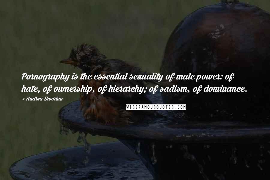 Andrea Dworkin Quotes: Pornography is the essential sexuality of male power: of hate, of ownership, of hierarchy; of sadism, of dominance.