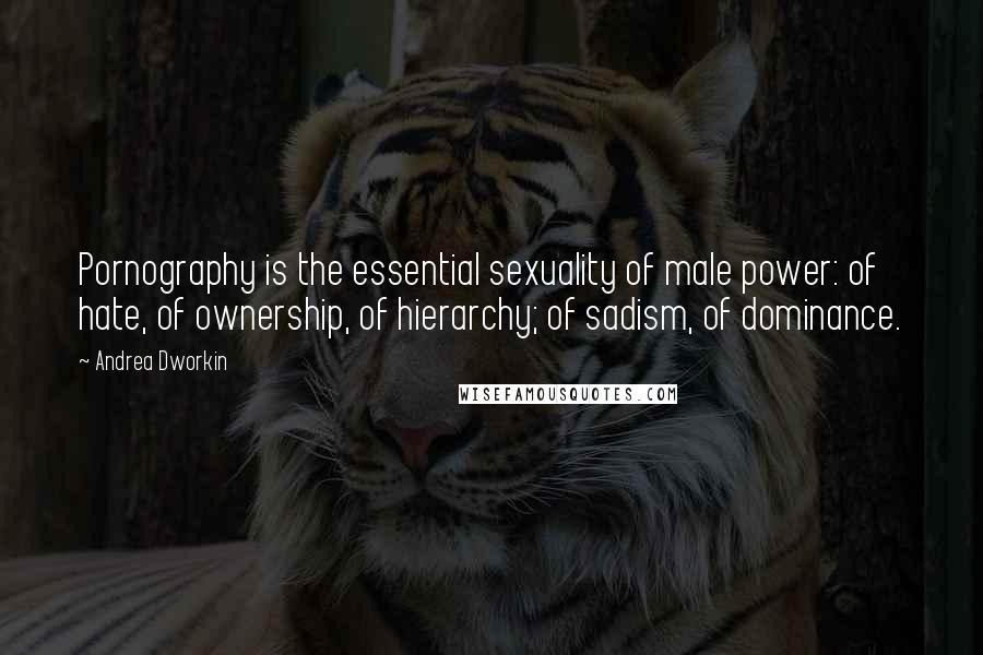 Andrea Dworkin Quotes: Pornography is the essential sexuality of male power: of hate, of ownership, of hierarchy; of sadism, of dominance.