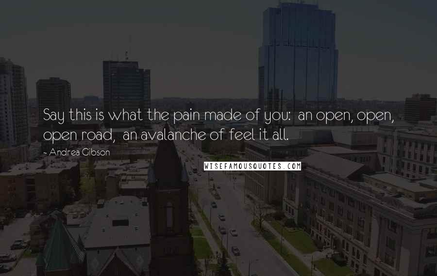 Andrea Gibson Quotes: Say this is what the pain made of you:  an open, open, open road,  an avalanche of feel it all.