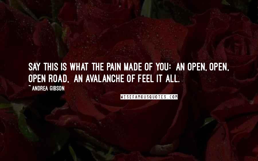 Andrea Gibson Quotes: Say this is what the pain made of you:  an open, open, open road,  an avalanche of feel it all.